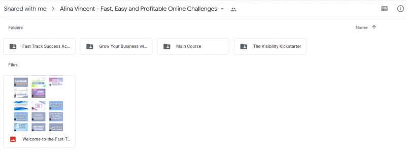 Alina Vincent - Fast, Easy and Profitable Online Challenges