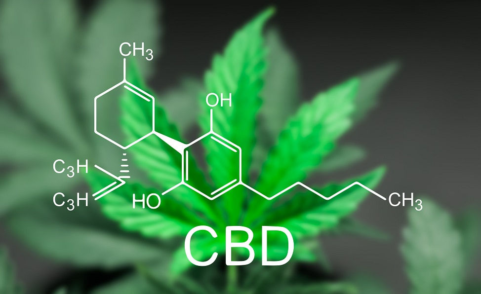 Assata - Starting a CBD Business